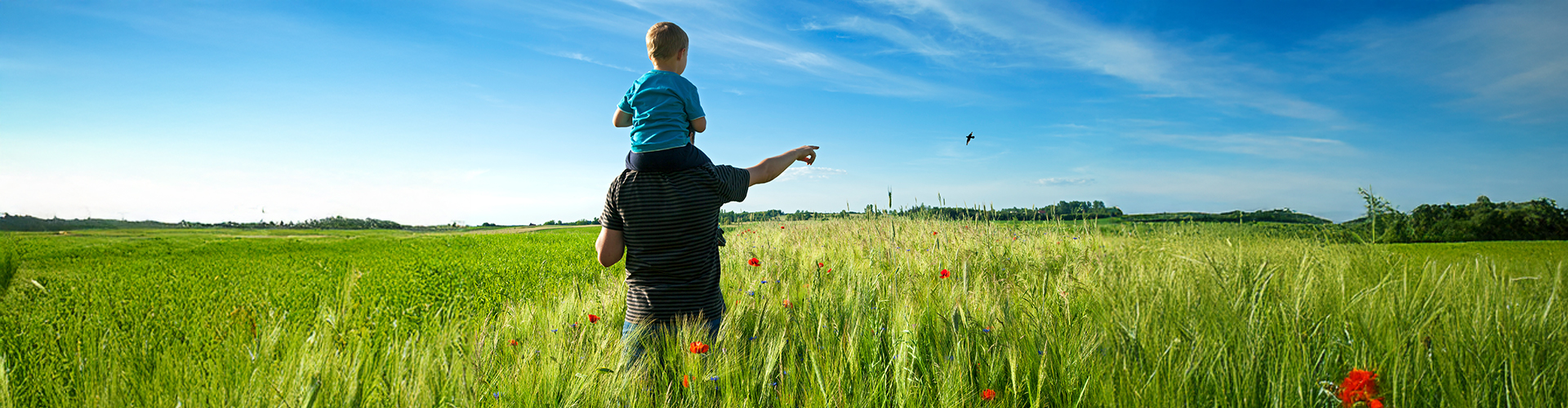 ISP-Header-desk-il_mio_futuro